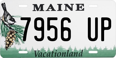 ME license plate 7956UP