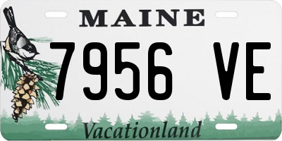ME license plate 7956VE
