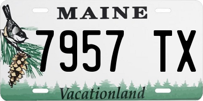 ME license plate 7957TX