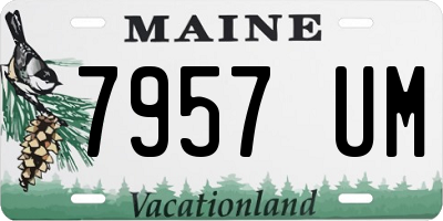 ME license plate 7957UM