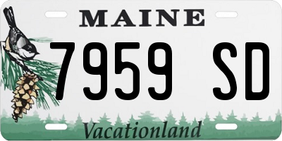 ME license plate 7959SD