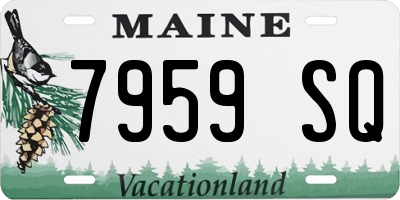 ME license plate 7959SQ