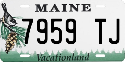 ME license plate 7959TJ