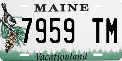 ME license plate 7959TM