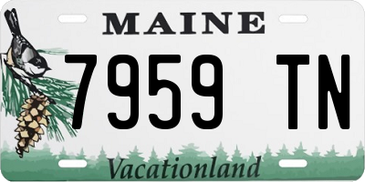 ME license plate 7959TN