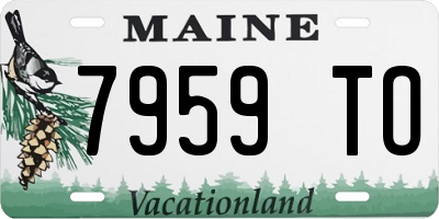 ME license plate 7959TO