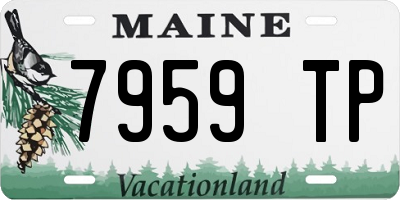 ME license plate 7959TP