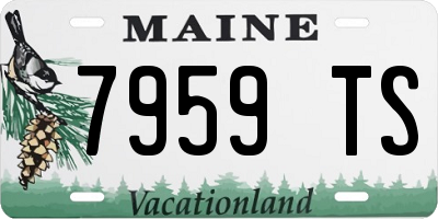 ME license plate 7959TS