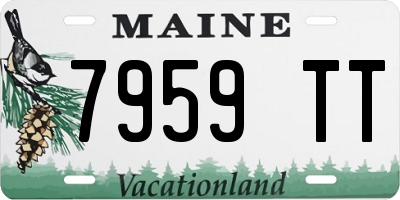 ME license plate 7959TT