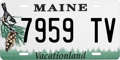ME license plate 7959TV