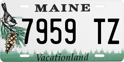 ME license plate 7959TZ