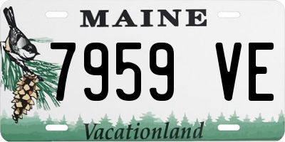 ME license plate 7959VE