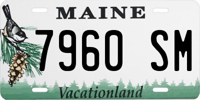 ME license plate 7960SM