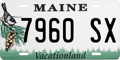 ME license plate 7960SX