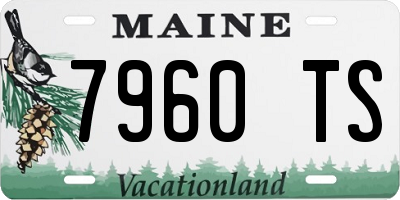 ME license plate 7960TS