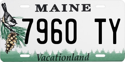 ME license plate 7960TY