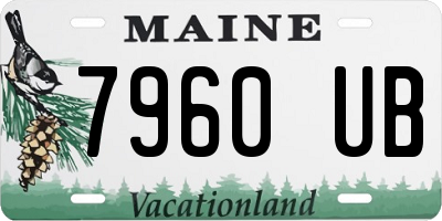 ME license plate 7960UB