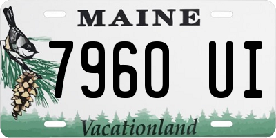 ME license plate 7960UI