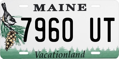 ME license plate 7960UT