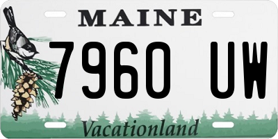 ME license plate 7960UW