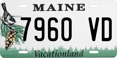 ME license plate 7960VD