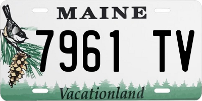 ME license plate 7961TV