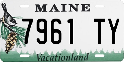 ME license plate 7961TY