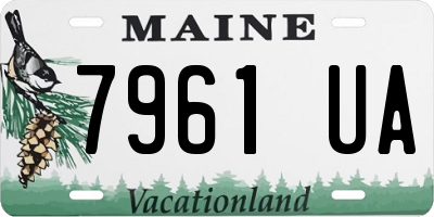 ME license plate 7961UA