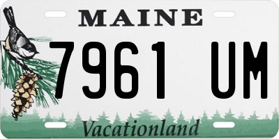 ME license plate 7961UM