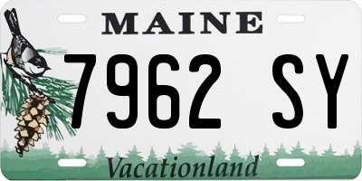 ME license plate 7962SY