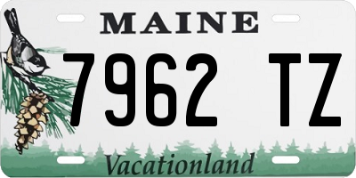 ME license plate 7962TZ