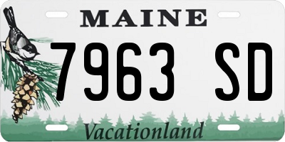 ME license plate 7963SD