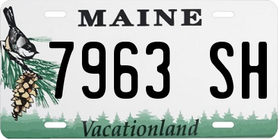 ME license plate 7963SH