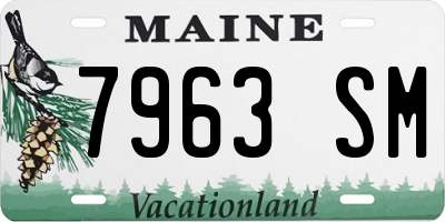 ME license plate 7963SM