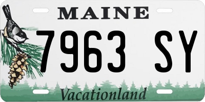 ME license plate 7963SY