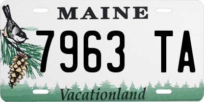 ME license plate 7963TA