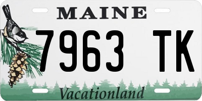 ME license plate 7963TK