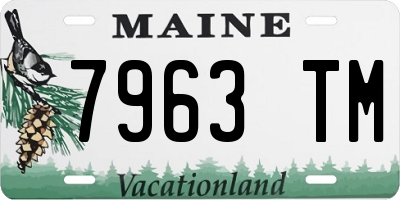 ME license plate 7963TM