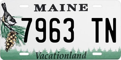 ME license plate 7963TN