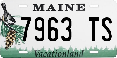 ME license plate 7963TS