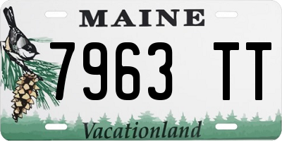 ME license plate 7963TT