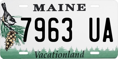 ME license plate 7963UA