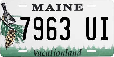 ME license plate 7963UI