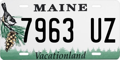 ME license plate 7963UZ