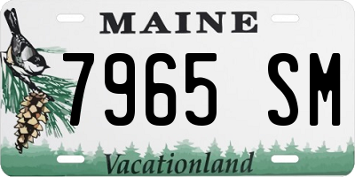 ME license plate 7965SM