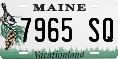ME license plate 7965SQ