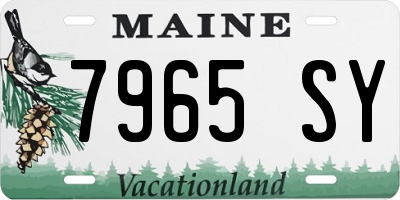 ME license plate 7965SY