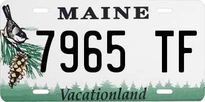 ME license plate 7965TF