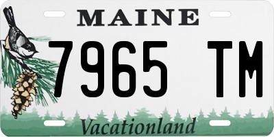 ME license plate 7965TM