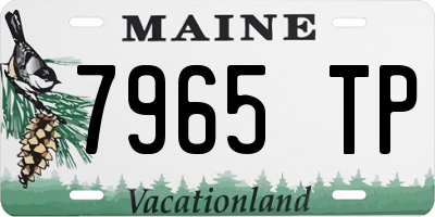 ME license plate 7965TP
